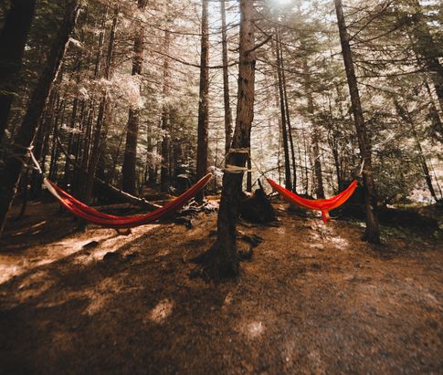 What is hammock camping and should you experiences it?