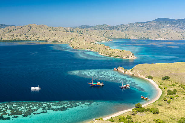 the popularity of Komodo Island