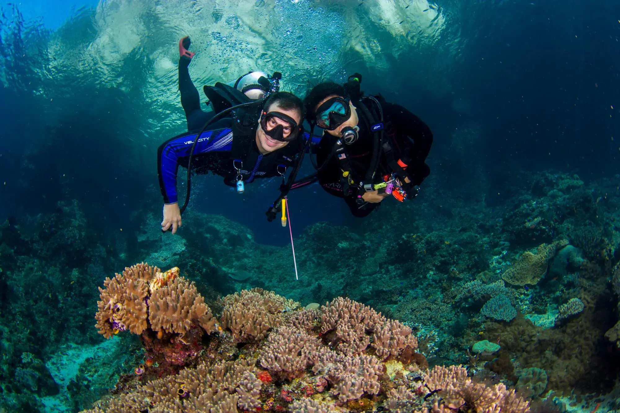 raja ampat diving liveaboard